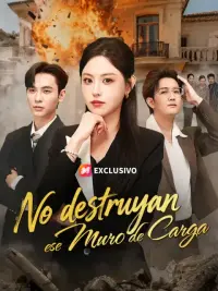 No destruyan ese muro de carga completo
