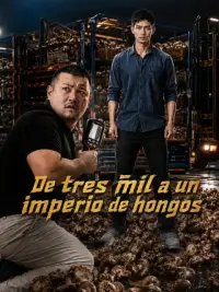 De tres mil a un imperio de hongos completo