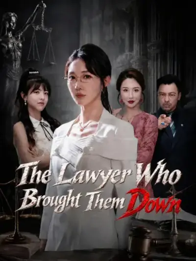 The Lawyer Who Brought Them Down poster