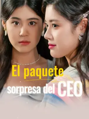 El paquete sorpresa del CEO completo