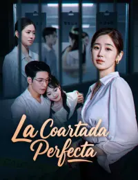 La coartada perfecta completo