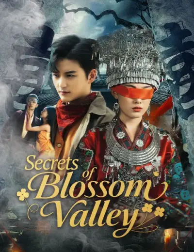 Secrets of Blossom Valley poster