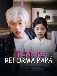 Plan de reforma papá completo