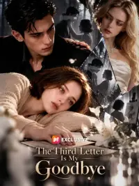 The Third Letter Is My Goodbye cover