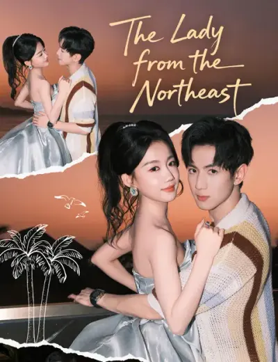 The Lady from the Northeast poster