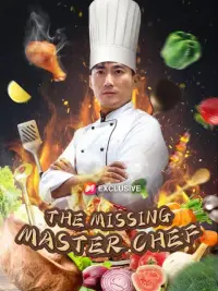 The Missing Master Chef cover
