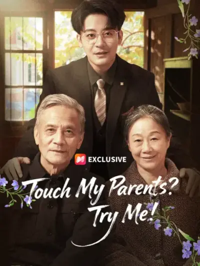 Touch My Parents? Try Me! poster