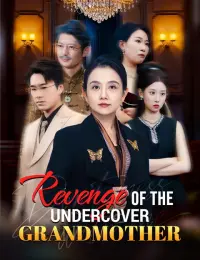 Revenge of the Undercover Grandmother cover