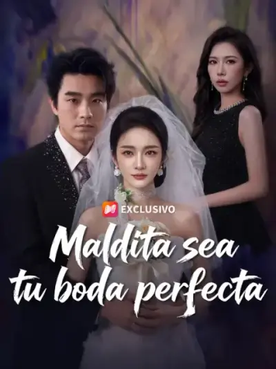 Maldita sea tu boda perfecta — portada