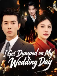 I Got Dumped on My Wedding Day cover
