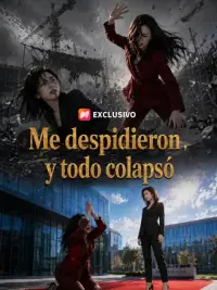 Me despidieron y todo colapsó completo