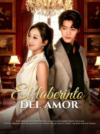 El laberinto del amor — portada