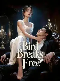Bird Breaks Free cover