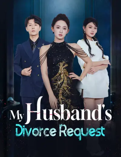 My Husband's Divorce Request poster