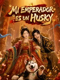 Mi emperador es un husky completo