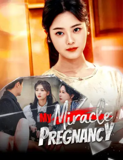 My Miracle Pregnancy poster