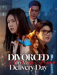 Divorced on My Delivery Day cover