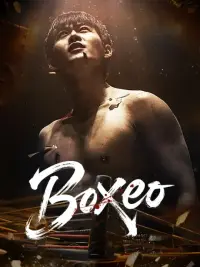 Boxeo completo