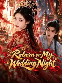 Reborn on My Wedding Night cover