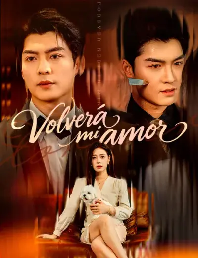 Volverá mi amor — portada