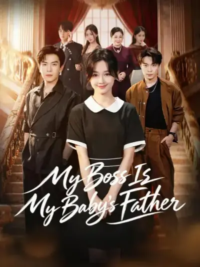 My Boss Is My Baby’s Father poster