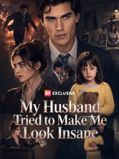 My Husband Tried to Make Me Look Insane poster